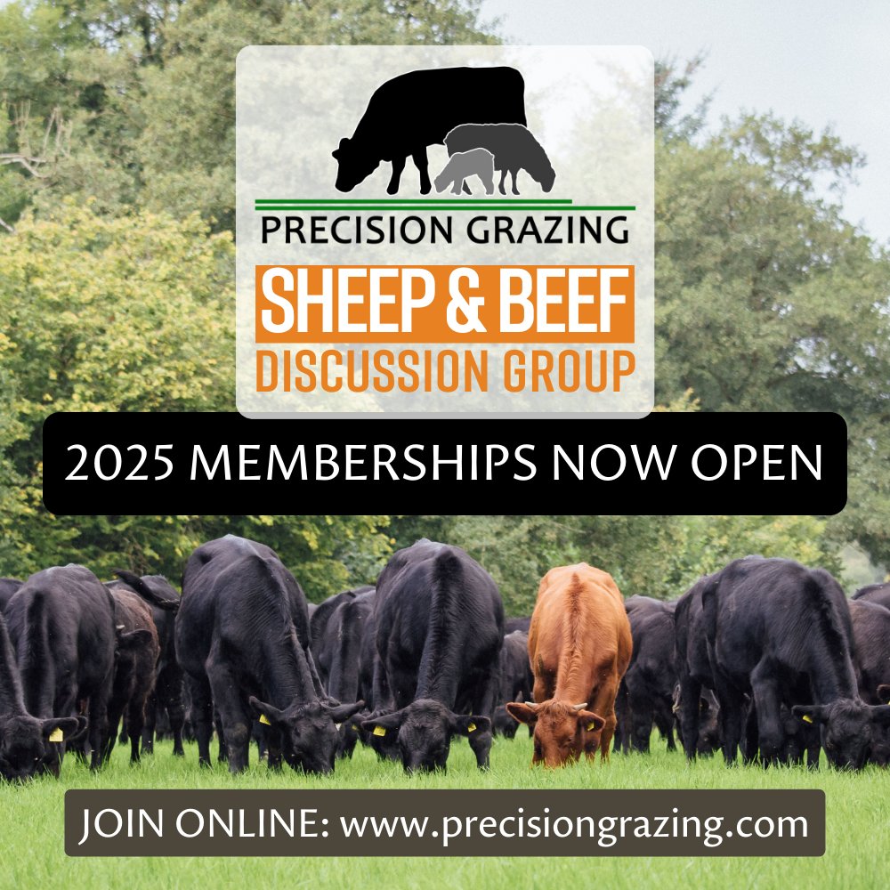 Membership for 2025 is Now Open! 

Join our Sheep &amp; Beef Discussion Groups and make 2025 your most productive year yet! 

✅ Optimise grazing, ✅ Cut costs, ✅ Explore new opportunities

Sign up by 19th Jan to secure your place: precisiongrazing.com/discussion-gro…