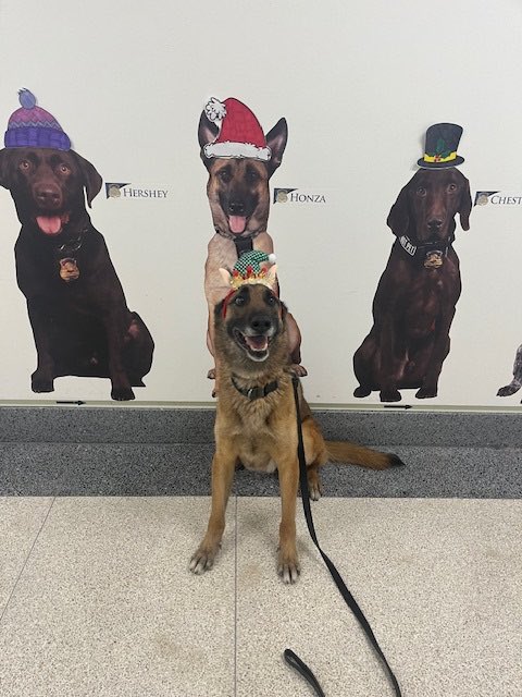 DoW_USW_PR's tweet photo. Dreary December days call for dogs. Thank you for brightening our spirits, Honza, and for all YOU do to take care of our people as a @PFPAOfficial K9 officer. #TCOP https://t.co/lN8BA1tgxF