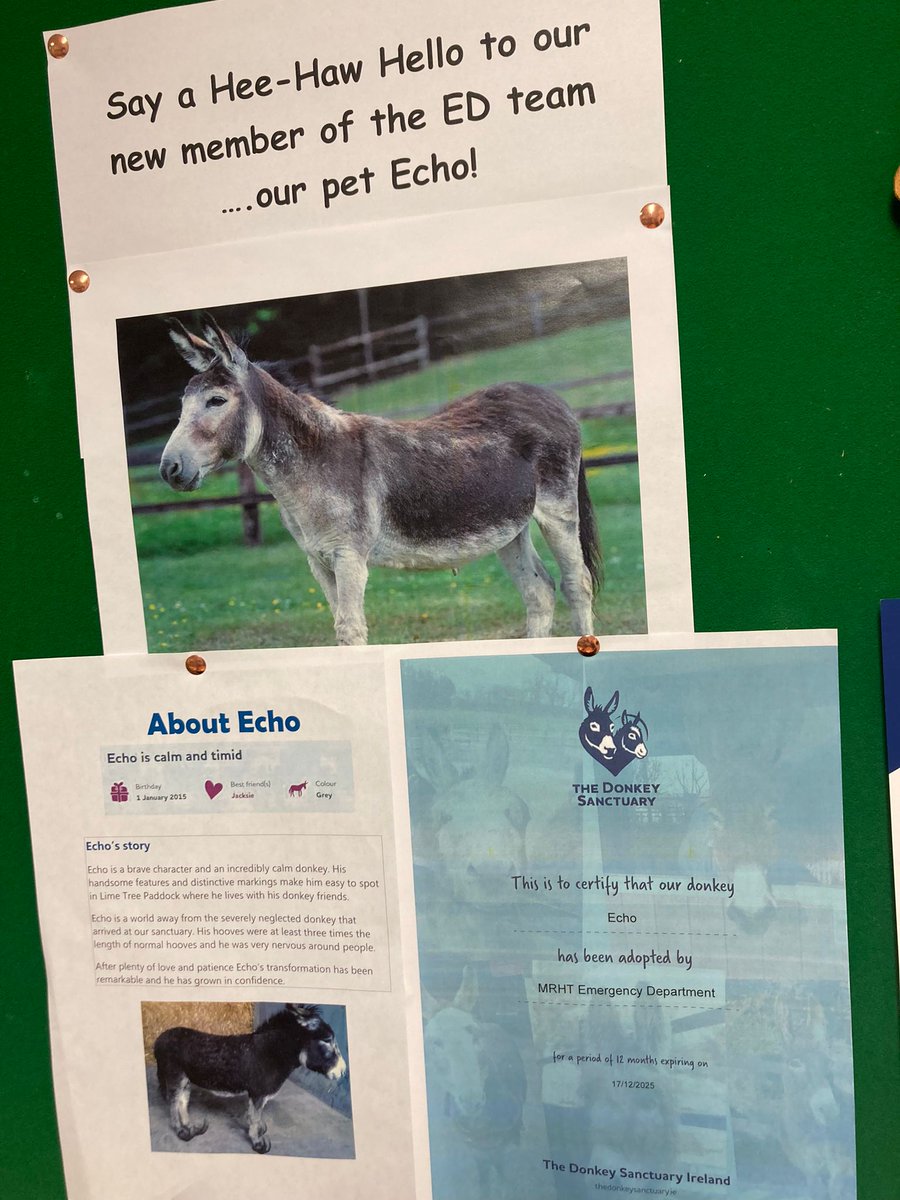 Emma Fogarty (@emmafoggy76) on Twitter photo Lovely Act of Kindness by EM Consultant Carla Hopper adopting Echo for all the staff๐ฅฐ <a href="/bekerrikind/">Kerri Kindness</a> <a href="/drcarlahopper/">Carla Hopper</a> Lovely Act of Kindness by EM Consultant Carla Hopper adopting Echo for all the staff๐ฅฐ <a href="/bekerrikind/">Kerri Kindness</a> <a href="/drcarlahopper/">Carla Hopper</a>