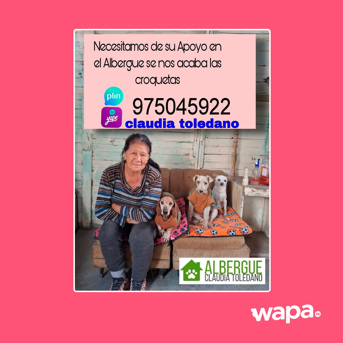 Apoya al albergue Caludia Toledano y  haz feliz esta navidad a los perritos que no tienen un hogar. 
🥺🐶🎄