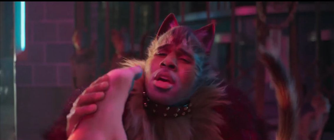 The Hollywood Handle tweet media