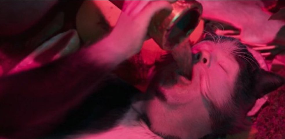 The Hollywood Handle tweet media