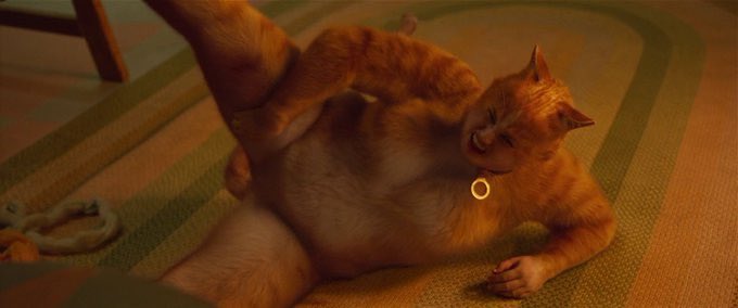 The Hollywood Handle tweet media