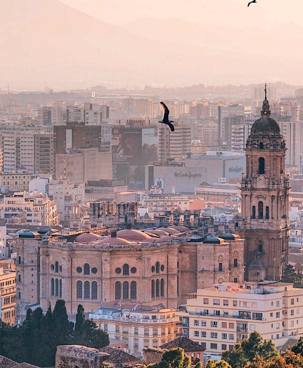 Alexander Thian tweet media