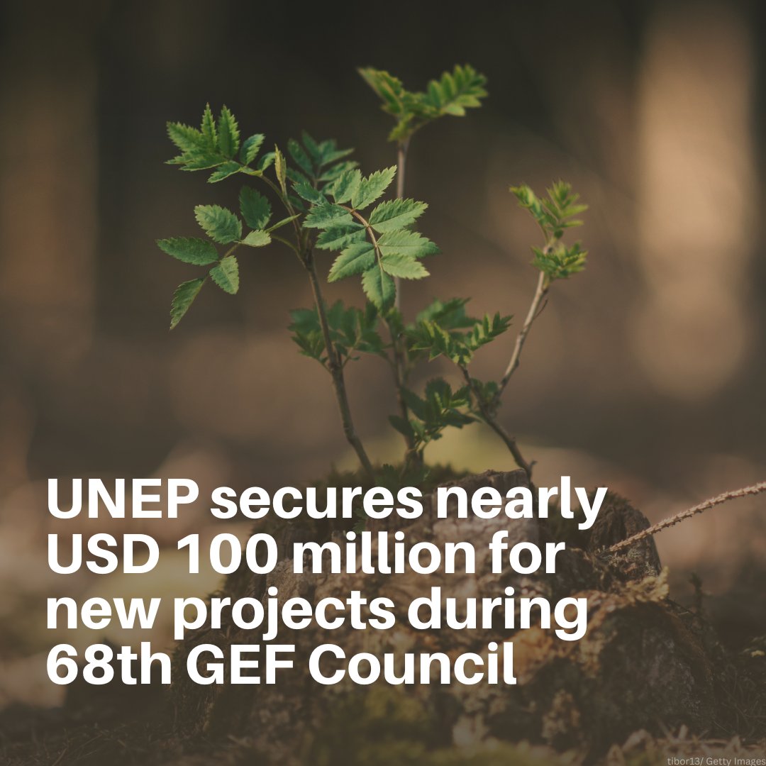 Great news! UNEP has successfully secured nearly USD 100 million from @‌theGEF for new projects that will bring lasting benefits #ForPeopleForPlanet.

More details: my.walls.io/WP-GEFcouncil68
