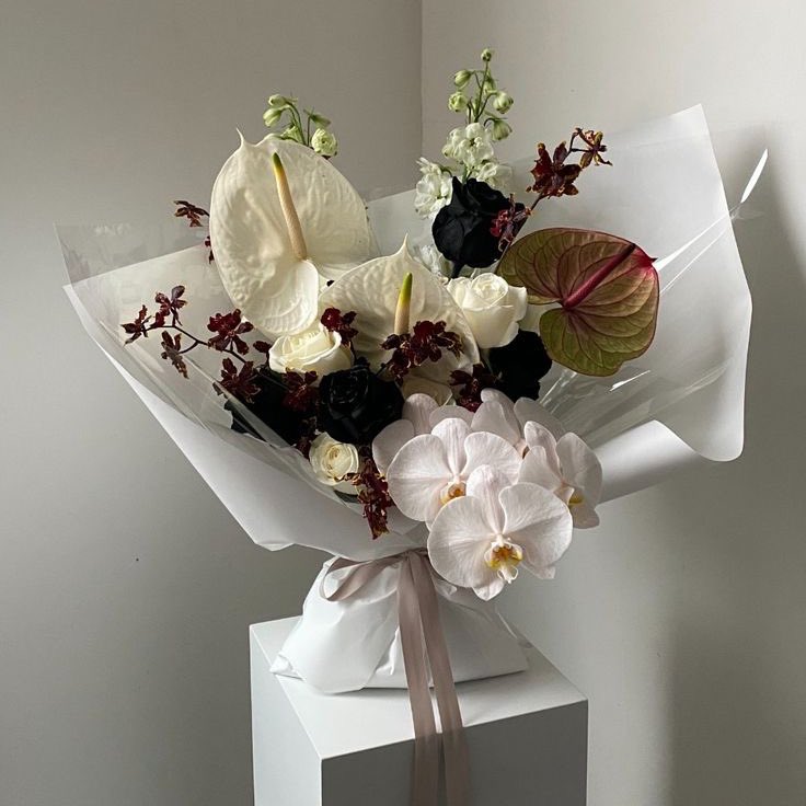 HYSN_deul's tweet photo. ⠀
𝓓𝖾𝖺𝗋𝖾𝗌𝗍 IL-LUXION ( @IL_LUXION )、

⠀⠀Boom, ra-ta-ta-ta, now you’ve made it~ Boom, boom, chk, chk, boom! Selamat atas comeback kalian, kami mendoakan agar IL-LUXION terus sukses ke depannya!

Best wishes, HYSN. ♡
⠀⠀ https://t.co/lM30kEOrkT
