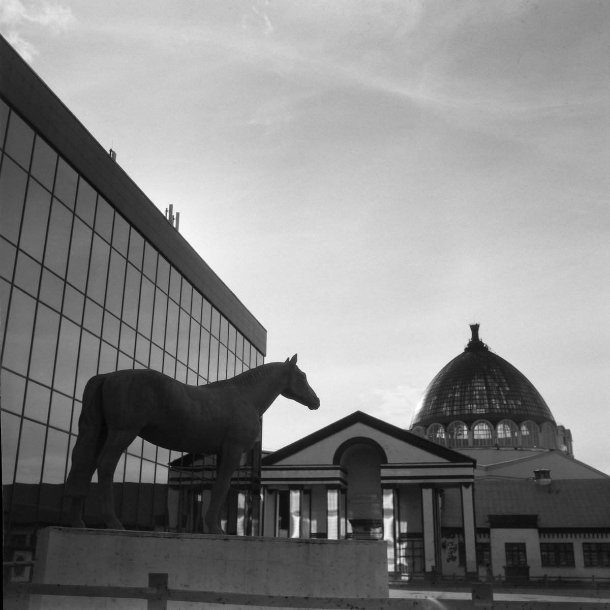 ABBSound's tweet photo. «Horse-breeding»  [Very expired film Svema 65-120 (04.1980)]
Camera: Pentacon Six TL + Lens: Mir-3B
06/09/2016

#filmphotography #monochrome #blackandwhite #svema #svema65 #pentaconsix #mir3b #svemafilm #bnwsouls #bnwmood #bwfilm #filmisnotdead #believeinfilm #filmfeed #filmonly https://t.co/nQQ9FF2SRc