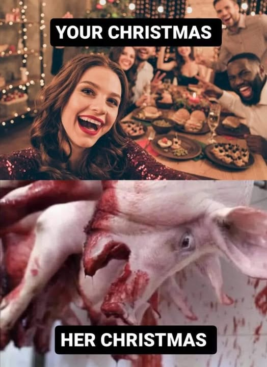 Doing activism everyday, especially around the holidays, when I see people excited for celebrations, this is all I picture

We r monsters that really care more about ourselves than anything else. Be different. Show respect if u really believe everyone deserves it. Help in my bio