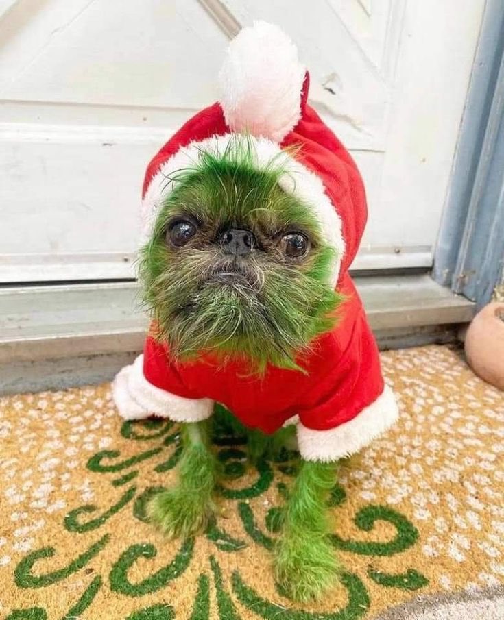 MissEspositoc's tweet photo. Ho Ho Ho!! 🎅 🎄 https://t.co/9lGcxP3Zbp