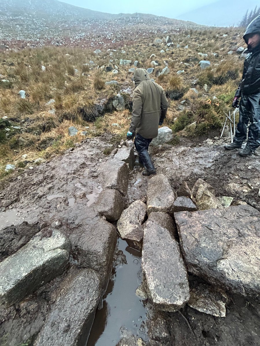 Mournes National Trust tweet media