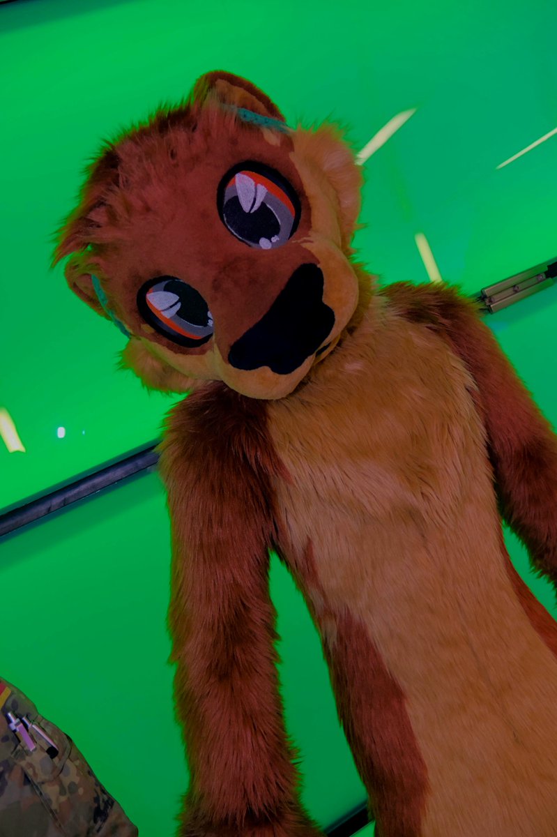 Feeling green this #FursuitFriday :3

📸<a href="/Oposum8/">Oposum🔜 AWOO / JmoF</a>