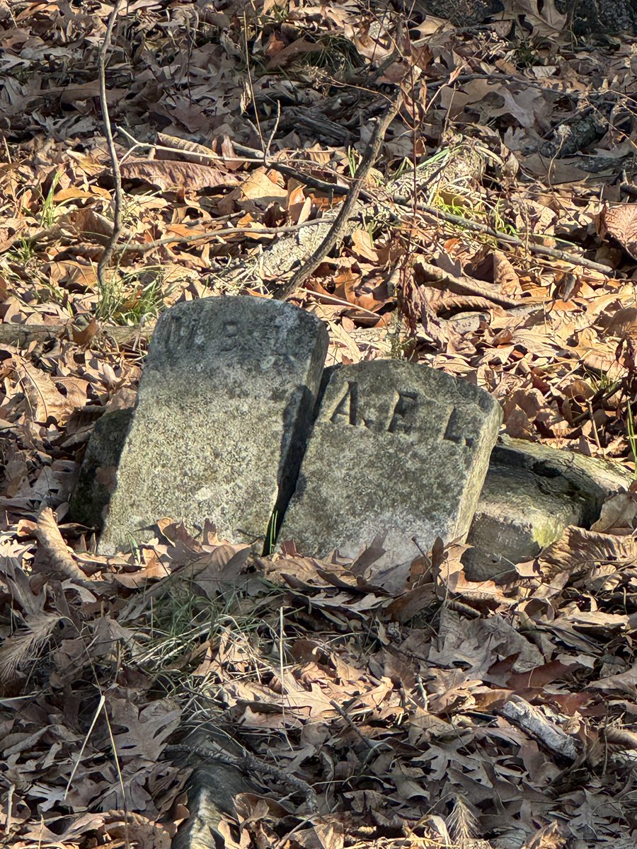 Gavin Spoor tweet media