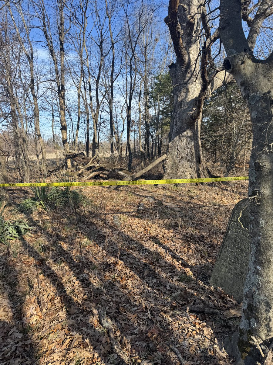 Gavin Spoor tweet media