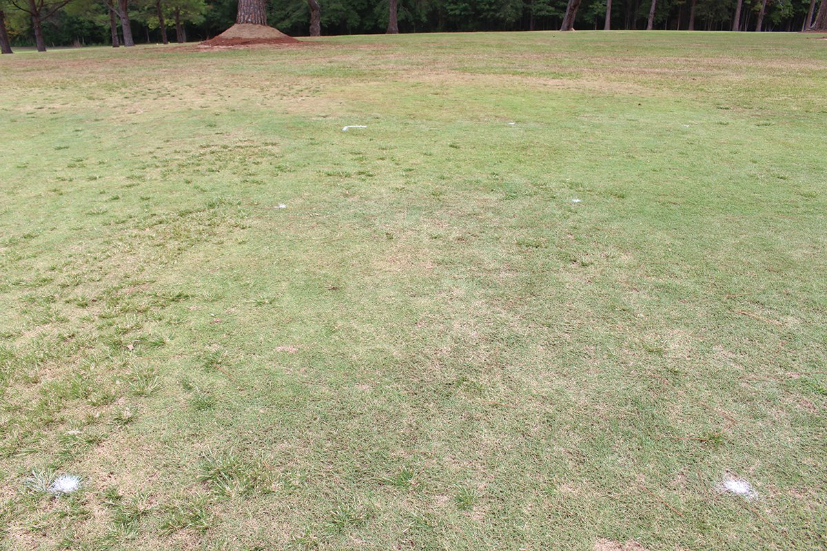 THE TURF ZONE (@theturfzone) on Twitter photo > <a href="/MSTurfgrass/">James D. McCurdy</a> and <a href="/willlber/">Amy Wilber</a> share details of new and updated herbicides for turfgrass weed control in <a href="/MSTurfAssoc/">MSTurfAssociation</a> magazine > theturfzone.com/mta/?ascat=73&… > <a href="/MSTurfgrass/">James D. McCurdy</a> and <a href="/willlber/">Amy Wilber</a> share details of new and updated herbicides for turfgrass weed control in <a href="/MSTurfAssoc/">MSTurfAssociation</a> magazine > theturfzone.com/mta/?ascat=73&…