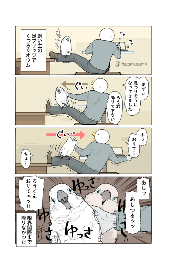 押されたら押し返す。そんなオウムです。 