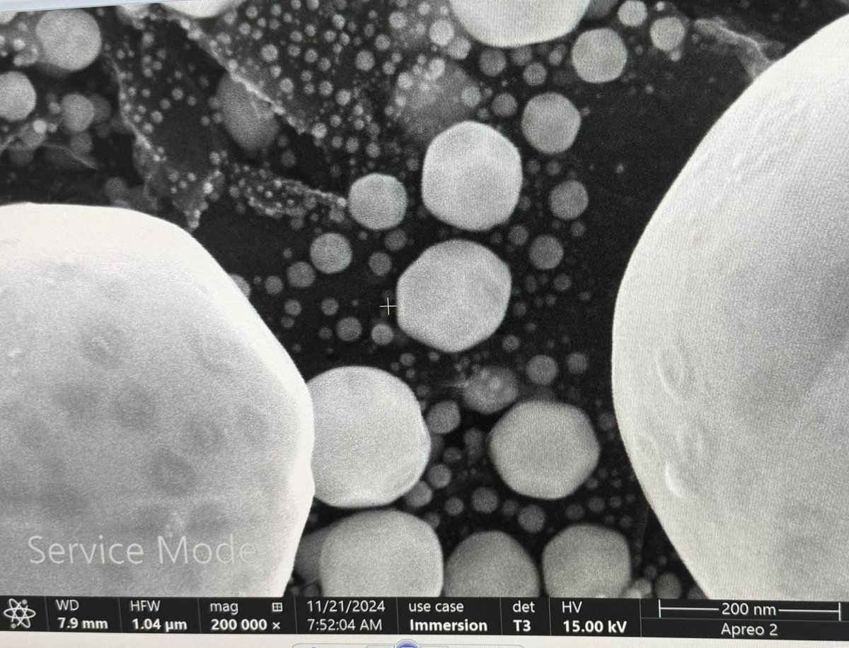 SATHI IITDelhi (@sathi_iitdelhi) on Twitter photo ๐ Excited to announce the installation of the FESEM-CL at <a href="/sathi_iitdelhi/">SATHI IITDelhi</a> , Sonipat Campus! Ready to support cutting-edge research with nanoscale imaging & cathodoluminescence. Book your slot now! ๐ฌโจ #FESEMCL #SATHI_IITDelhi #Innovation <a href="/IndiaDST/">DSTIndia</a> <a href="/Pratishtha_DST/">Dr. Pratishtha Pandey</a> <a href="/karandi65/">Abhay Karandikar</a> ๐ Excited to announce the installation of the FESEM-CL at <a href="/sathi_iitdelhi/">SATHI IITDelhi</a> , Sonipat Campus! Ready to support cutting-edge research with nanoscale imaging & cathodoluminescence. Book your slot now! ๐ฌโจ #FESEMCL #SATHI_IITDelhi #Innovation <a href="/IndiaDST/">DSTIndia</a> <a href="/Pratishtha_DST/">Dr. Pratishtha Pandey</a> <a href="/karandi65/">Abhay Karandikar</a>