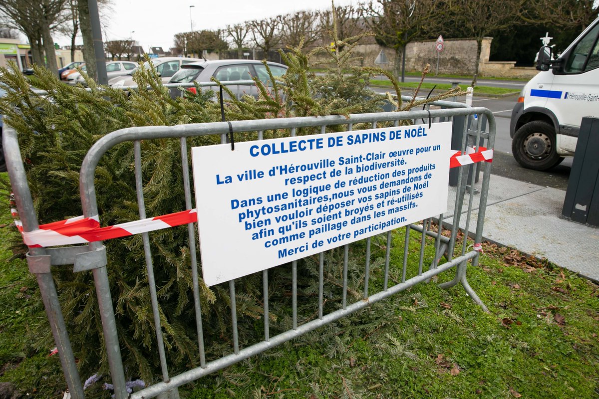 🎄♻️ Recyclez votre #sapin à #HérouvilleSaintClair
Jusqu'au 02 février 2025, déposez votre sapin naturel dans l’un des 10 points de collecte. 
✅ Sapins non floqués et sans décorations 
Les broyats serviront au paillage des massifs 🌳
infos : herouville.net/actualites/col…
<a href="/Caenlamer/">Caen la mer</a>