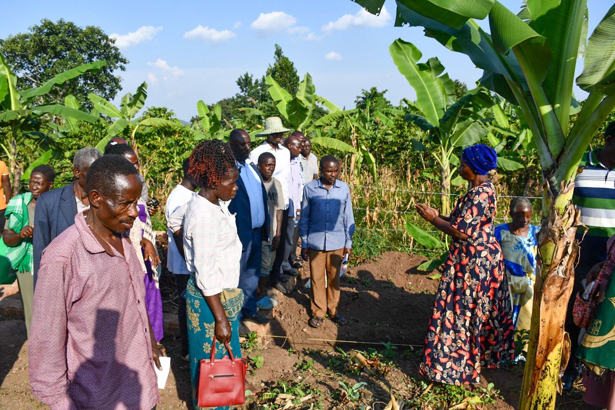 NamayanjaFound's tweet photo. Did you know that our demonstration farms are driving socio-economic transformation in Uganda? Through agri-business, we're empowering communities with knowledge and skills to create sustainable livelihoods. https://t.co/y5BMu4MXfV