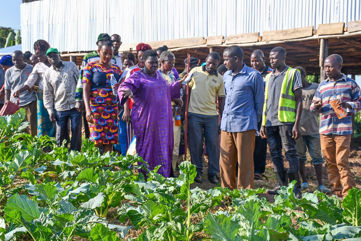 NamayanjaFound's tweet photo. Did you know that our demonstration farms are driving socio-economic transformation in Uganda? Through agri-business, we're empowering communities with knowledge and skills to create sustainable livelihoods. https://t.co/y5BMu4MXfV