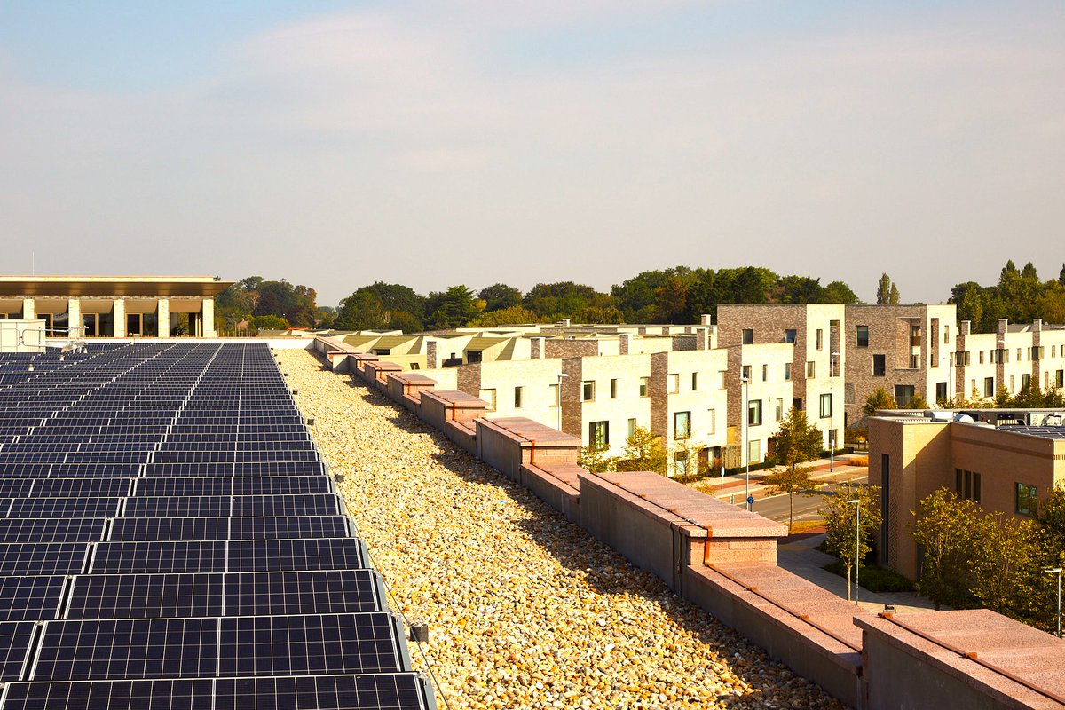 Meet Cambridge tweet media