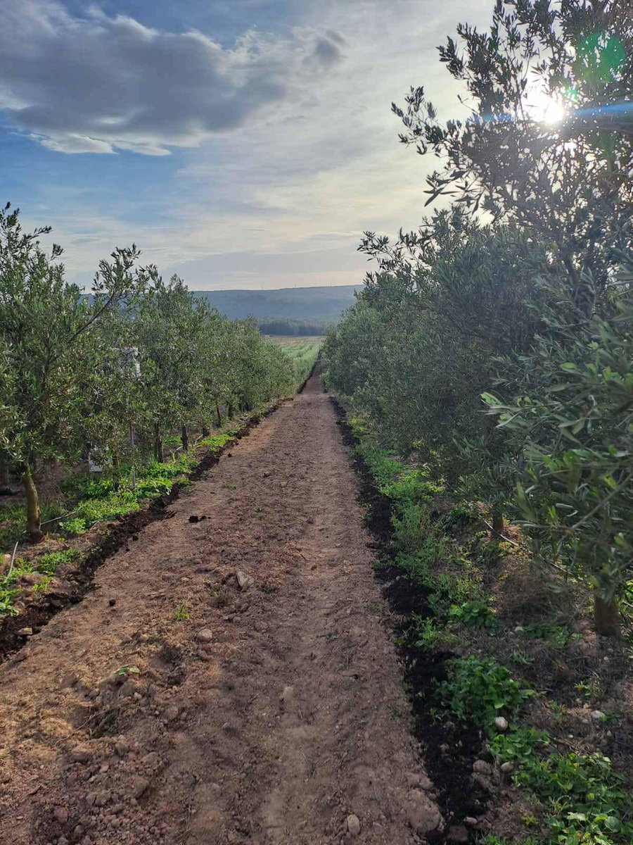 ERATOSTHENESCoE's tweet photo. 🚜🌱 Join us at CERBERUS Project's 1st Agronomy Days in Jérica, Spain, Dec 17-20!
➡️17 Dec: Consortium Meeting
➡️18 Dec: Advisory Board Review
➡️19 Dec: Stakeholder Showcase
➡️20 Dec: Citizen Science Forum
#CERBERUSProject #AgronomyDays #SmartFarming #InnovationInAgriculture" https://t.co/dlvQhE37tW