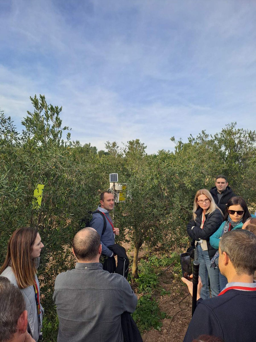 ERATOSTHENESCoE's tweet photo. 🚜🌱 Join us at CERBERUS Project's 1st Agronomy Days in Jérica, Spain, Dec 17-20!
➡️17 Dec: Consortium Meeting
➡️18 Dec: Advisory Board Review
➡️19 Dec: Stakeholder Showcase
➡️20 Dec: Citizen Science Forum
#CERBERUSProject #AgronomyDays #SmartFarming #InnovationInAgriculture" https://t.co/dlvQhE37tW