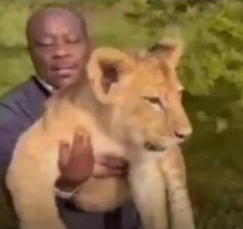 Bigdraxxx7's tweet photo. Tell your sister she's pretty or carry Lion. 

Brothers: https://t.co/o19iTuC1vC