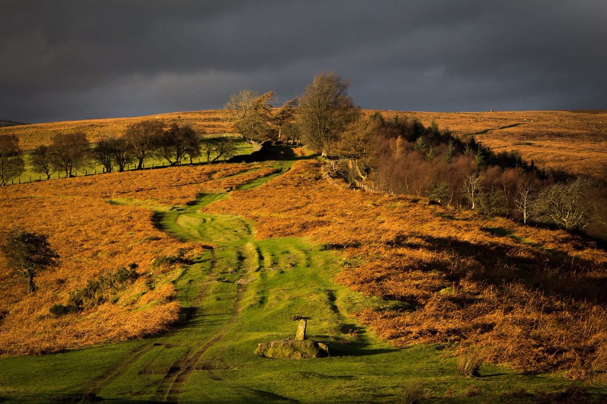 Taken 9 years ago today.  Some stormy light above the ‘revenge stone’ in the Black Mountains