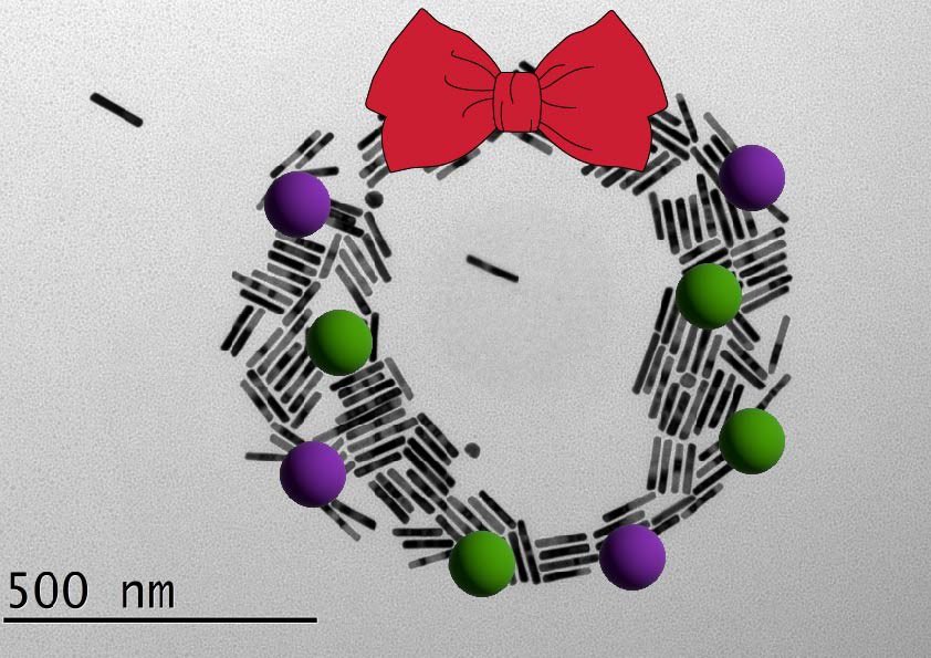 Merry Christmas from FunNanoBio members🎅🤶🏽🎄