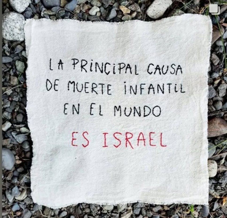 CASTEMAL's tweet image. 