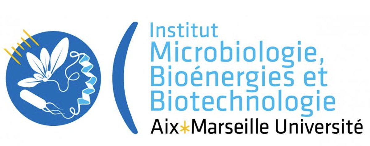 Benjamin Ezraty (@ezratyb) on Twitter photo Thrilled to receive support from IM2B for an interdisciplinary project in collaboration with <a href="/BIAM_CdE/">BIAM_Cité_des_Energies</a> , BIP and @lcb_officiel ;
Il y a de l’hème dans l’air! 😃🔬🦠 Thrilled to receive support from IM2B for an interdisciplinary project in collaboration with <a href="/BIAM_CdE/">BIAM_Cité_des_Energies</a> , BIP and @lcb_officiel ;
Il y a de l’hème dans l’air! 😃🔬🦠