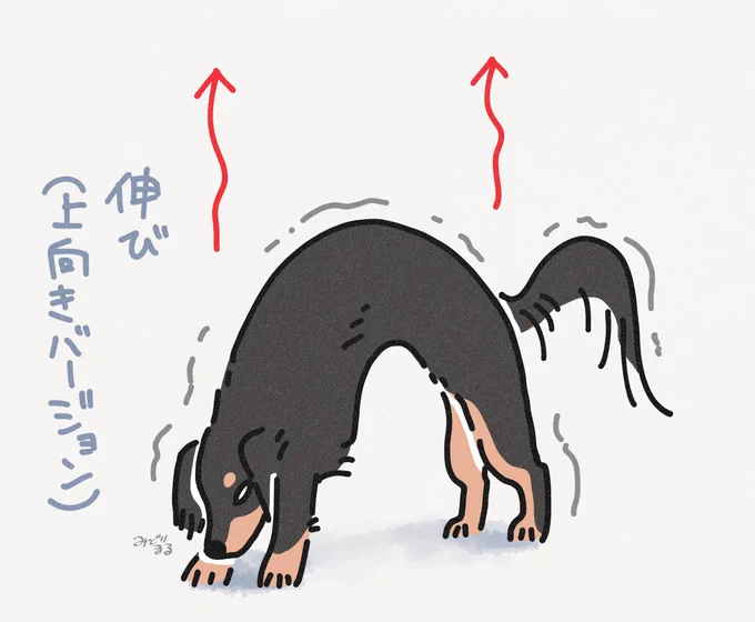 のび〜〜〜 と のび〜〜〜#今年も残りわずかなので今年一番伸びたのを貼る 
