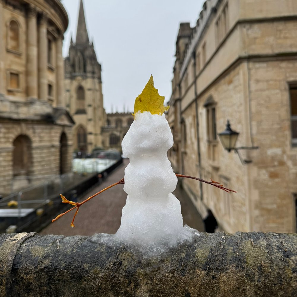 Congratulations to everyone who has interviewed for one of our undergraduate courses over the past few weeks! 

Decisions will be released on 14 January, so for now try not to worry too much about how things went, and enjoy a well-deserved break.

#ApplyingToOxford