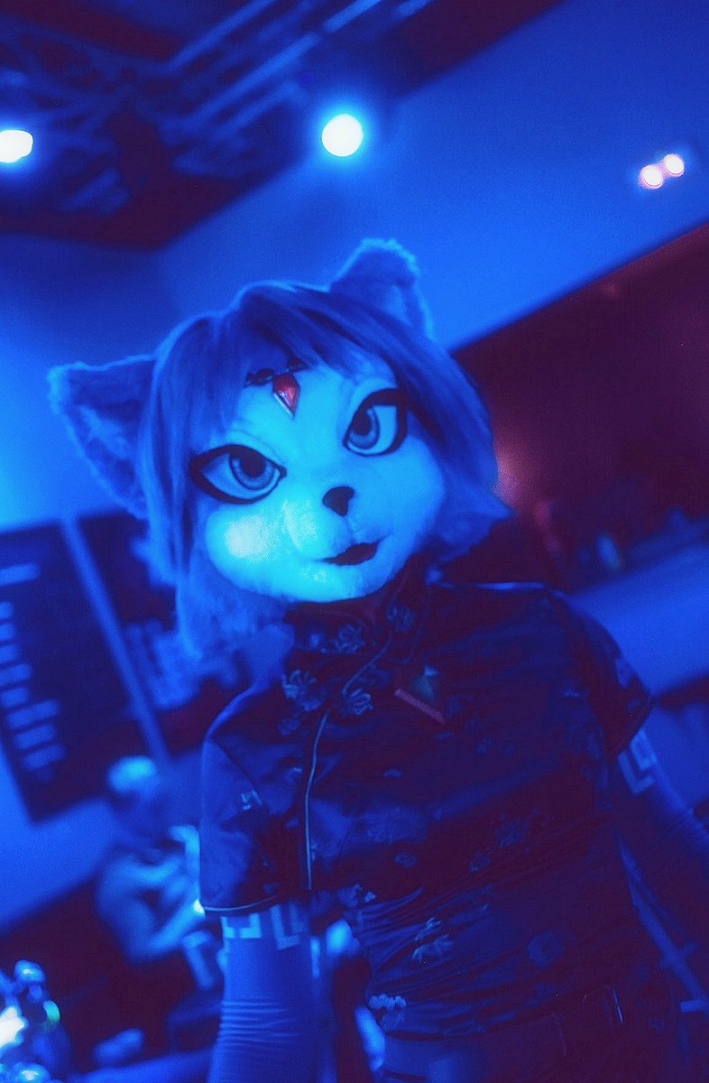 Rare sighting of Krystal 👀

also new costume teaser?? Still not the Assault costume, but something easier and nice for a themed photoshoot after New year 🎇

Photo by Nih (if you're there let me know so I can tag! )

#FursuitFriday #krystal