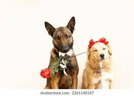 VibrantYogi's tweet photo. @ocjain4 Two great world leaders. https://t.co/v4ftFqg2Y5