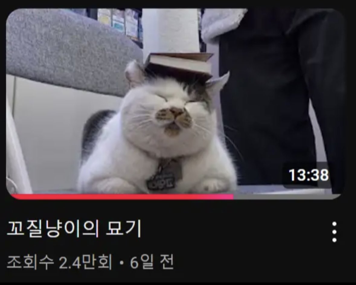 elaland's tweet photo. 편의점 고양이 고씨 겨울맞이 털찐 거 봐 ㅋㅋㅋㅋㅋ
<-6개월 전                                            현재-> https://t.co/tZw1cmqlwn