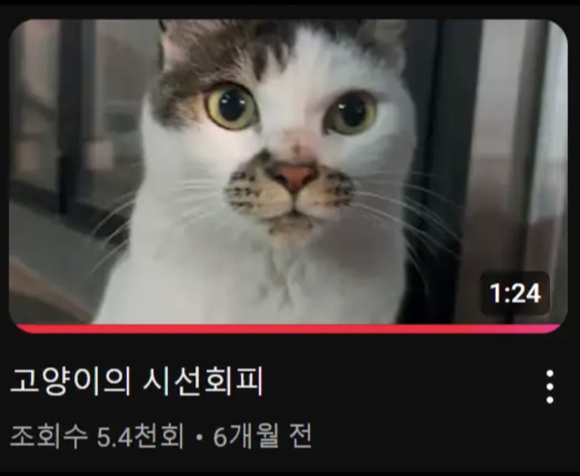 elaland's tweet photo. 편의점 고양이 고씨 겨울맞이 털찐 거 봐 ㅋㅋㅋㅋㅋ
<-6개월 전                                            현재-> https://t.co/tZw1cmqlwn