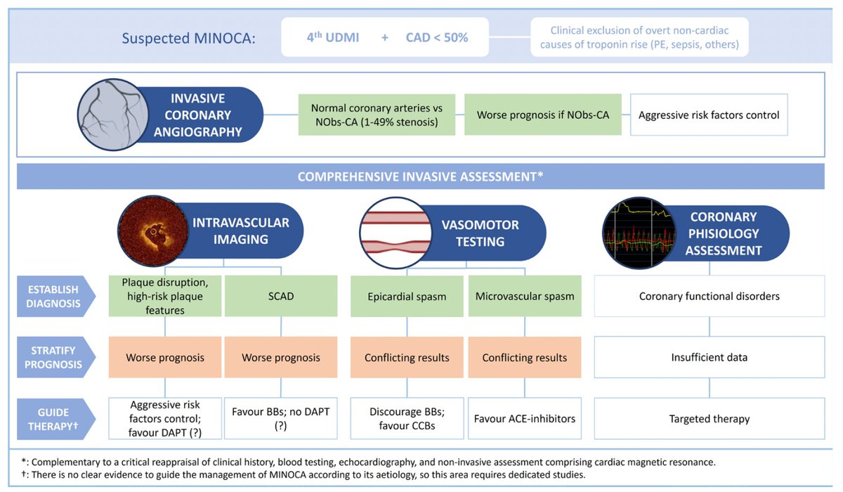 📢 Our meta-analysis on pathological findings at invasive assessment in MINOCA is out on <a href="/Heart_BMJ/">Heart_BMJ</a> 

🔍 53% have non-obs CAD, with an ⬆️risk of all-cause death or MI at 1-yr and long-term FU compared w/ pts w/ normal coronary artery, mainly due to a ⬆️risk of MI.

🔬 OCT &amp;