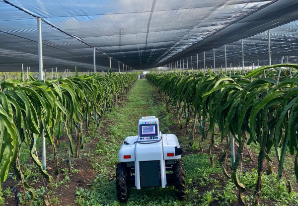 INDEREN_ENERGIA's tweet photo. El proyecto #DRAGONBOT, en el que participa #INDEREN, ha sido presentado en el diario @ValenciaNews_es. INDEREN desempeña un papel clave al aportar el invernadero #sostenible experimental donde se están llevando a cabo los ensayos de campo. Leer más: ☀️ https://t.co/VvrWDhRhaH 🌿 https://t.co/fWD6cYxZKf