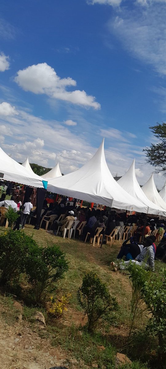 Huku shags unafuata mutina tu