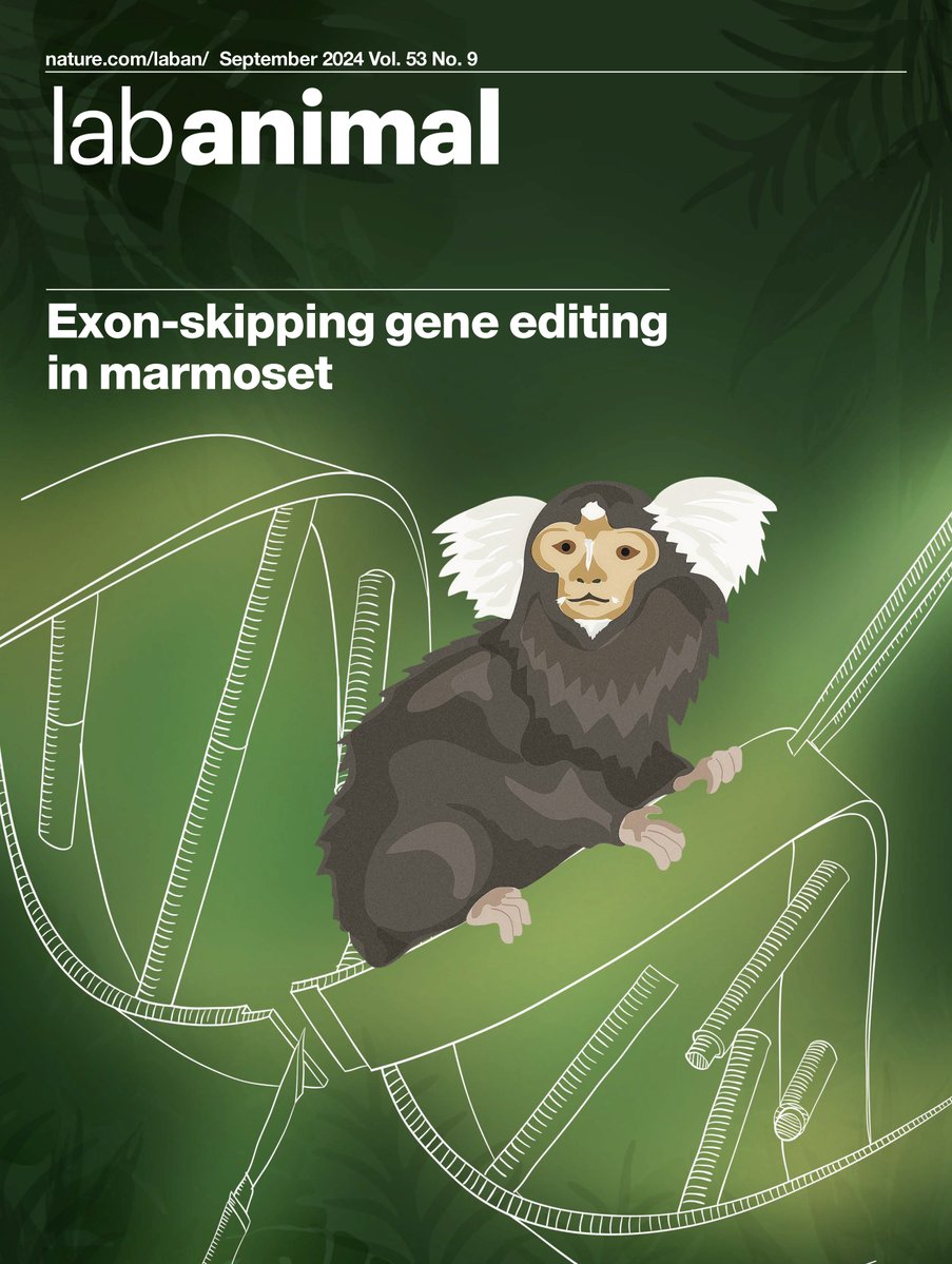 🎵 The 12 Days of LabAnimal 🎵

Day 9:

On the ninth day of editing, breakthroughs came to be,
Gene-skipping advances in marmosets clinically.

Issue 👇
nature.com/laban/volumes/…

Full study link 👇
nature.com/articles/s4168…
