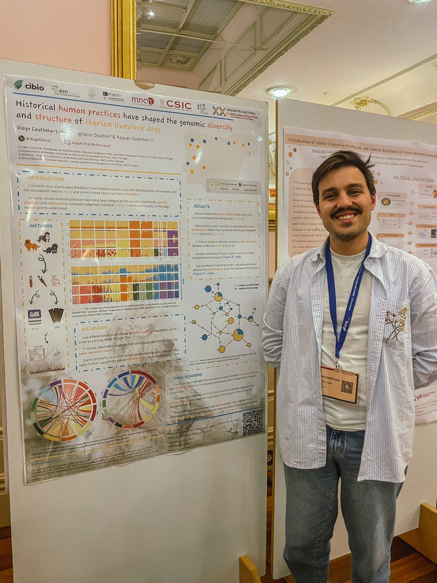 Diogo Lima (@diogofclima5) on Twitter photo Talking about native Iberian livestock dogs and how historical shepherding practices shaped their genomic diversity at <a href="/enbe_pt/">XX ENBE</a> 🐶🧬🧐
#ENBE_2024 Talking about native Iberian livestock dogs and how historical shepherding practices shaped their genomic diversity at <a href="/enbe_pt/">XX ENBE</a> 🐶🧬🧐
#ENBE_2024