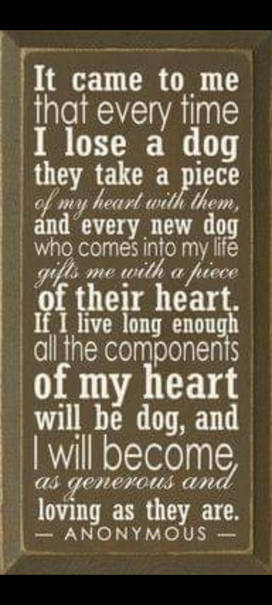 PetrolPumpOracle tweet media