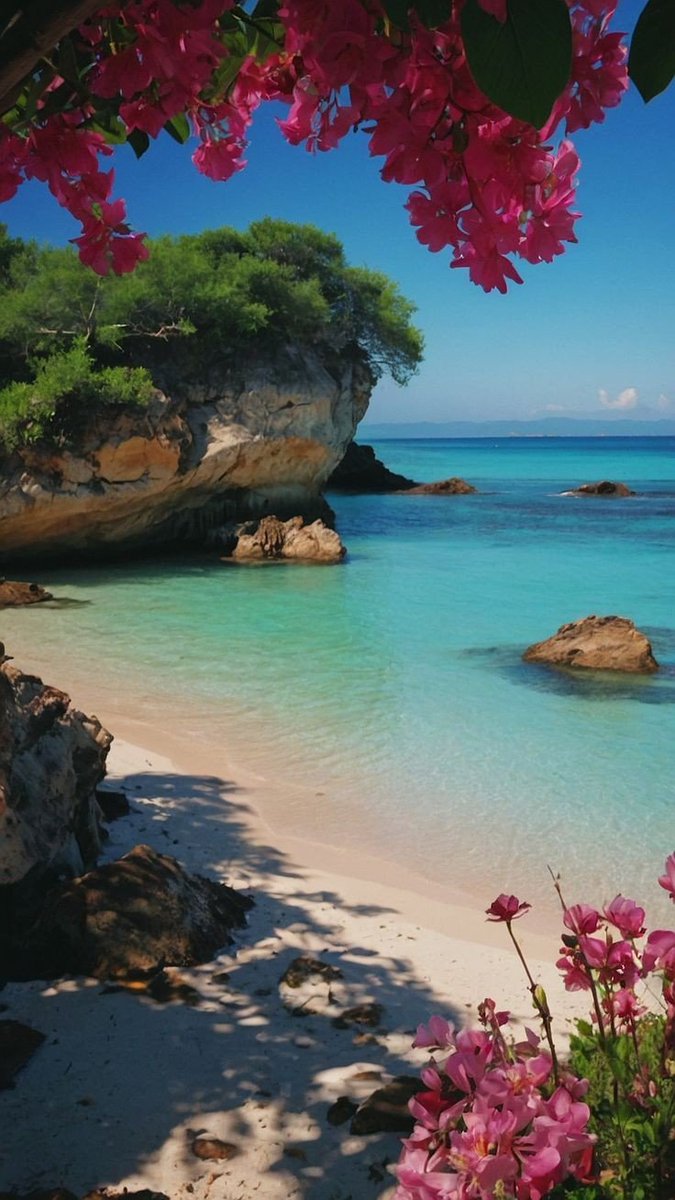 Good morning 

        Have a nice day