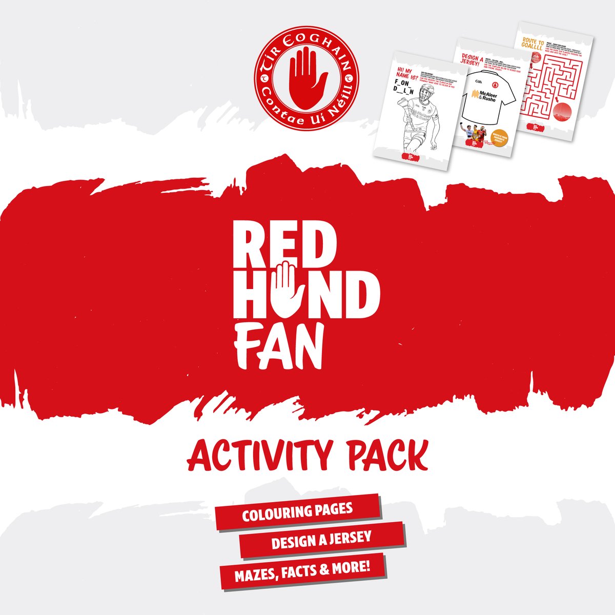 Tyrone GAA tweet media