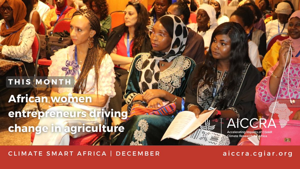 Season’s greetings to our colleagues, partners and friends across Africa &amp; around the world. 🌍✨

✉️ In our last newsletter of this year, explore how women entrepreneurs are scaling access to innovations for climate-smart agriculture, boosting food security and economic