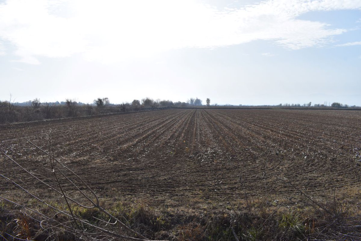 SpongeWorks tweet media