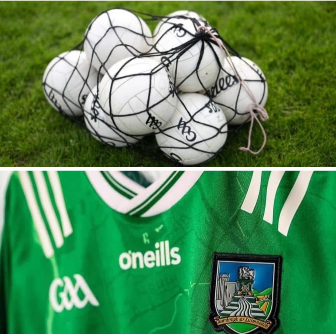Limerick GAA tweet media