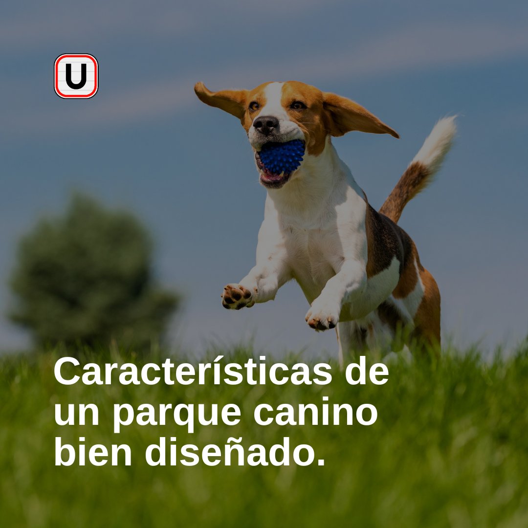 urbasenal's tweet image. 🐾  Para que un 𝗽𝗮𝗿𝗾𝘂𝗲 𝗰𝗮𝗻𝗶𝗻𝗼 esté bien diseñado debe contar con puertas dobles, vallas altas, papeleras, dispensadores de bolsas, fuentes adaptadas...

En #Urbaseñal, disponemos del 𝗺𝗼𝗯𝗶𝗹𝗶𝗮𝗿𝗶𝗼 𝘂𝗿𝗯𝗮𝗻𝗼 necesario para este tipo de parques ✨