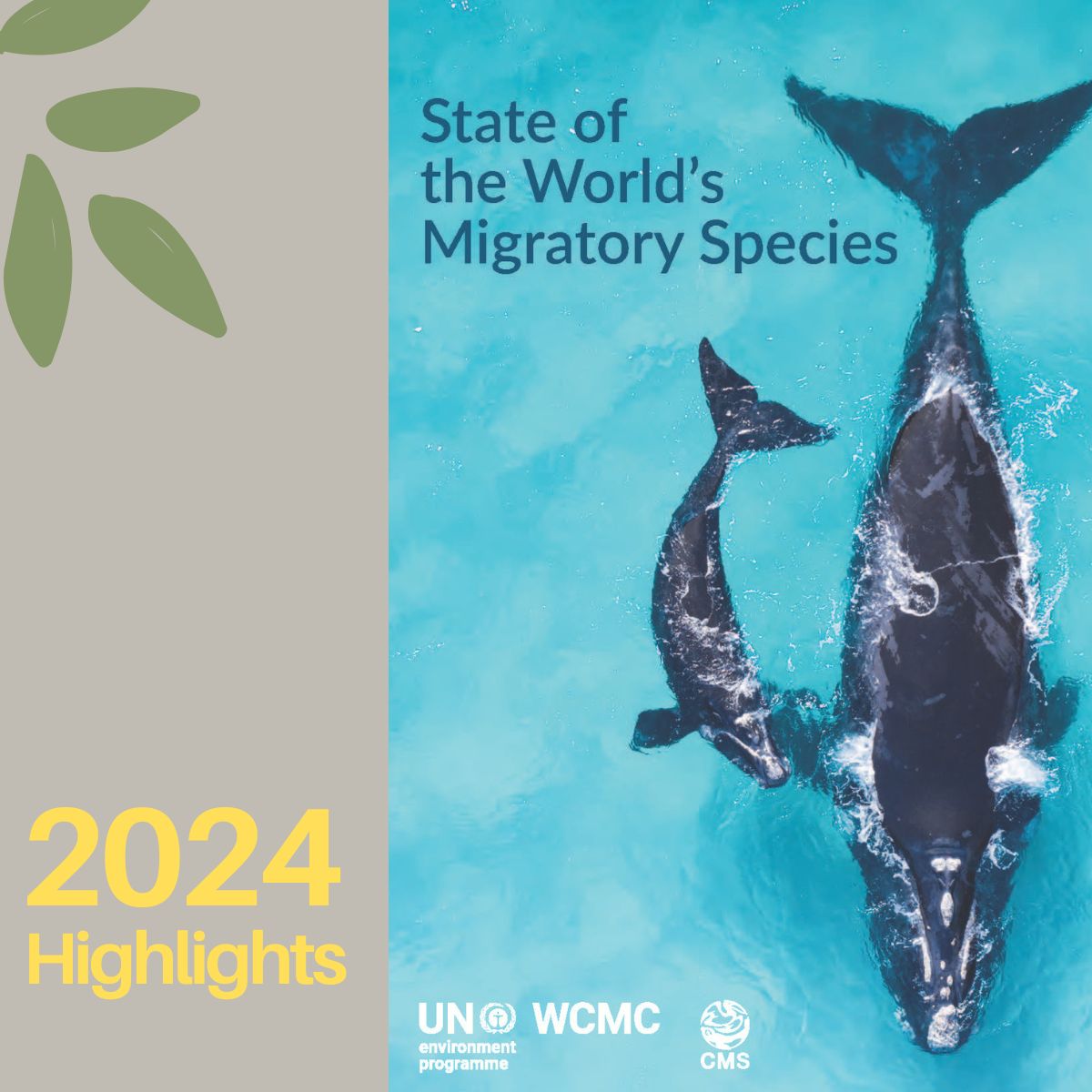 UNEP-WCMC (@unepwcmc) on Twitter photo In 2024, scientists at UNEP-WCMC produced the first-ever comprehensive report on the 'State of the World's Migratory Species' for <a href="/BonnConvention/">Convention on Migratory Species (CMS)</a>, revealing alarming new data on their state and the need for robust actions to save the species.
Full report: unep-wcmc.org/en/news/landma… In 2024, scientists at UNEP-WCMC produced the first-ever comprehensive report on the 'State of the World's Migratory Species' for <a href="/BonnConvention/">Convention on Migratory Species (CMS)</a>, revealing alarming new data on their state and the need for robust actions to save the species.
Full report: unep-wcmc.org/en/news/landma…